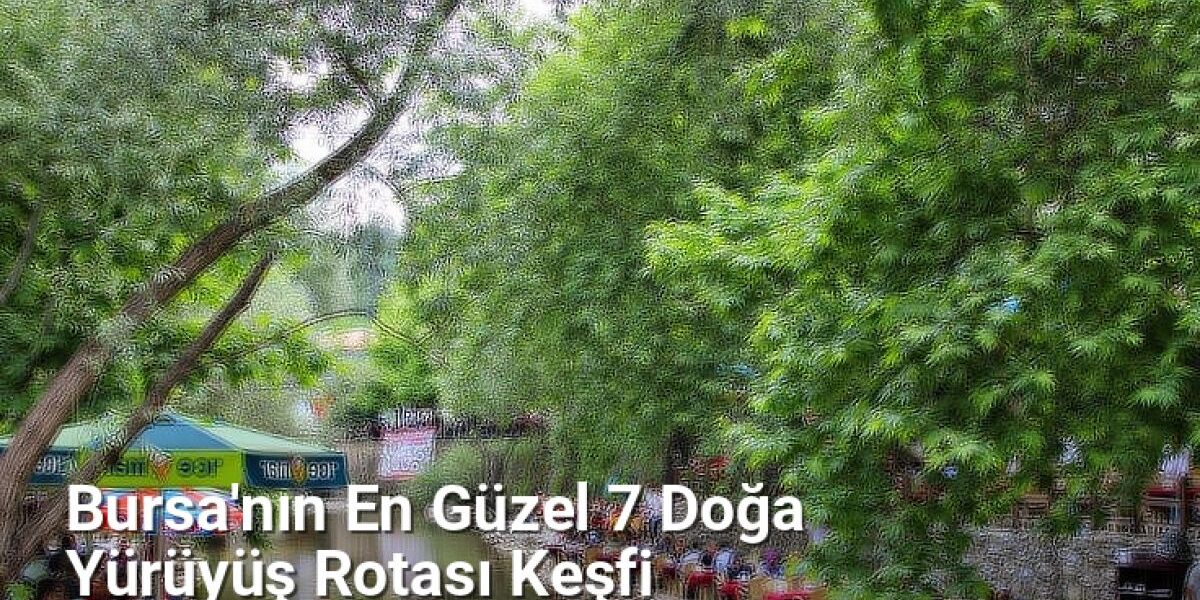 Bursa'nın En Güzel 7 Doğa Yürüyüş Rotası Keşfi - rotabursa.net.tc