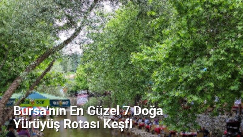 Bursa'nın En Güzel 7 Doğa Yürüyüş Rotası Keşfi - rotabursa.net.tc