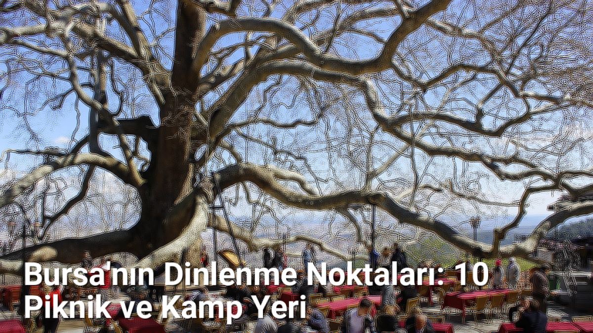 Bursa'nın Dinlenme Noktaları: 10 Piknik ve Kamp Yeri - rotabursa.net.tc