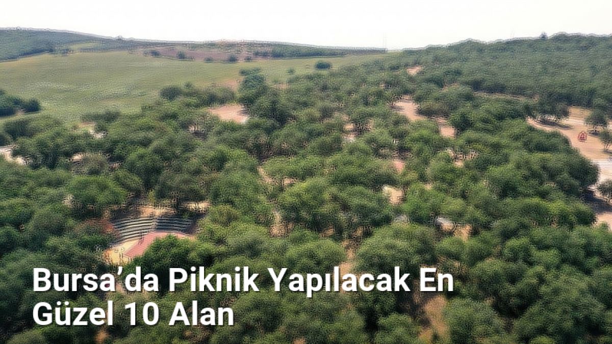 Bursa’da Piknik Yapılacak En Güzel 10 Alan - rotabursa.net.tc